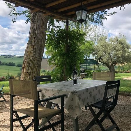 Vigna Sant' Amico Country House Morro dʼAlba Exteriör bild