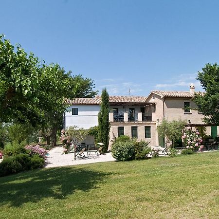 Vigna Sant' Amico Country House Morro dʼAlba Exteriör bild