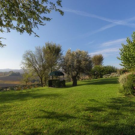 Vigna Sant' Amico Country House Morro dʼAlba Exteriör bild