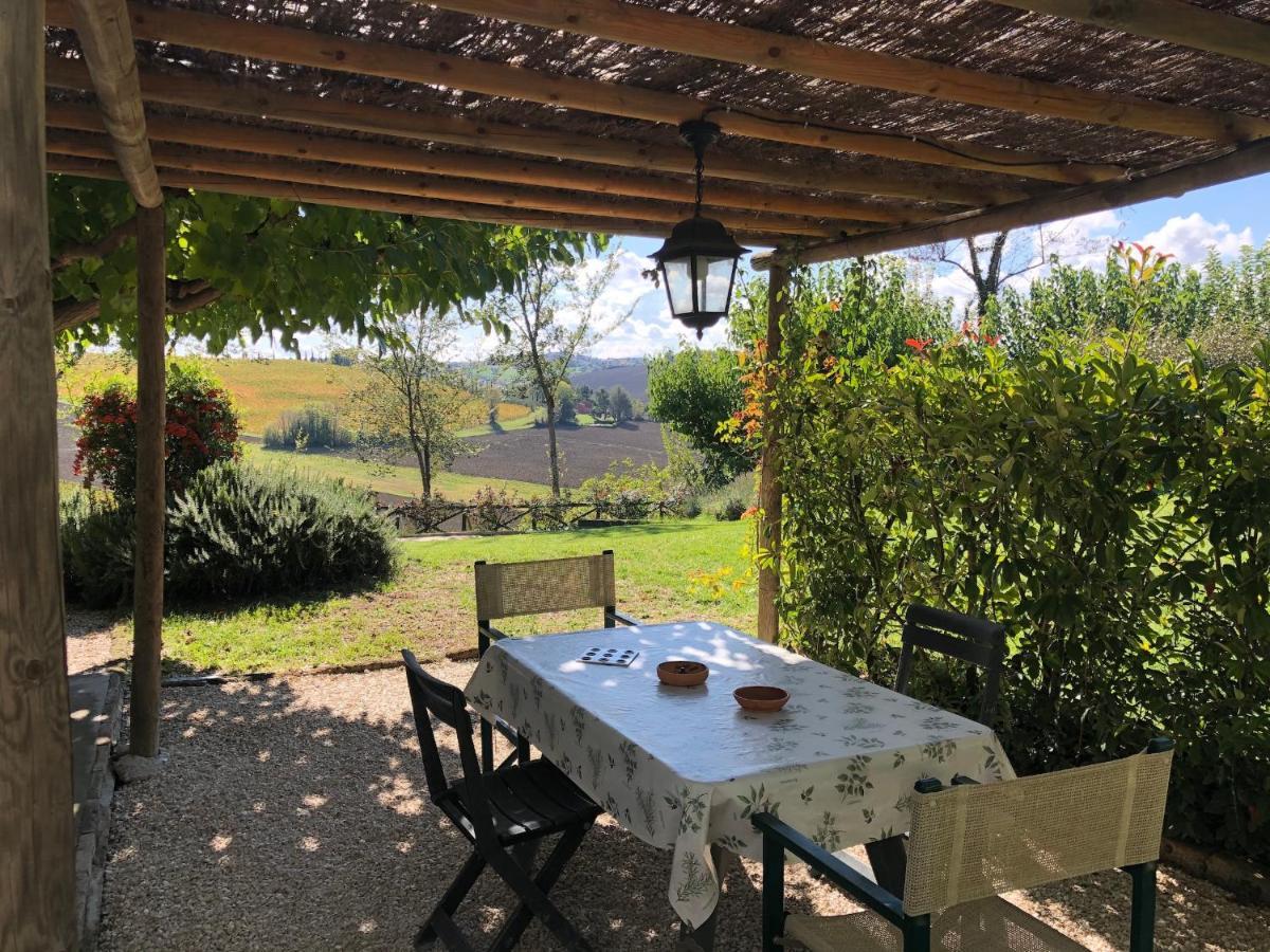 Vigna Sant' Amico Country House Morro dʼAlba Exteriör bild