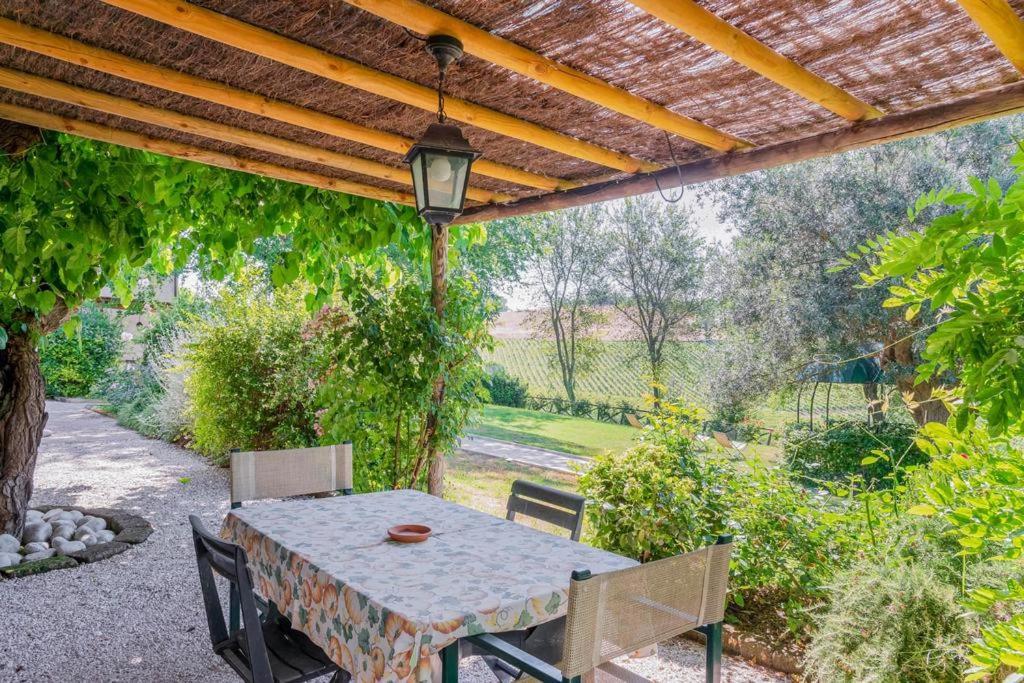 Vigna Sant' Amico Country House Morro dʼAlba Exteriör bild