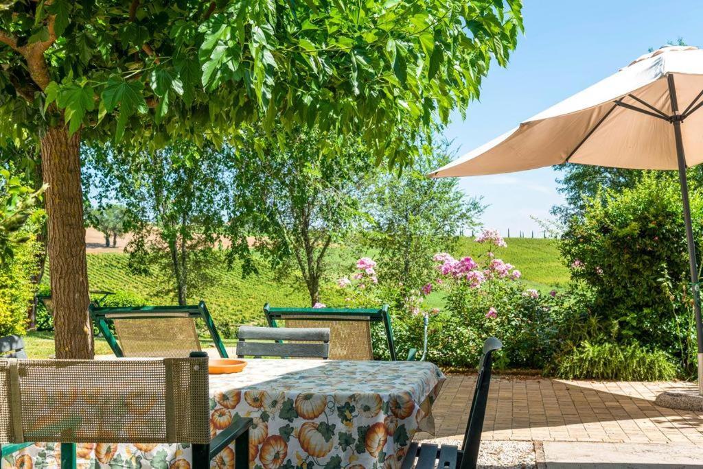 Vigna Sant' Amico Country House Morro dʼAlba Exteriör bild