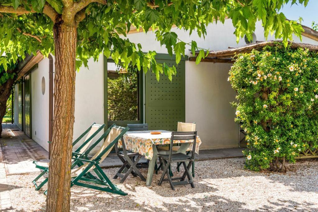 Vigna Sant' Amico Country House Morro dʼAlba Exteriör bild