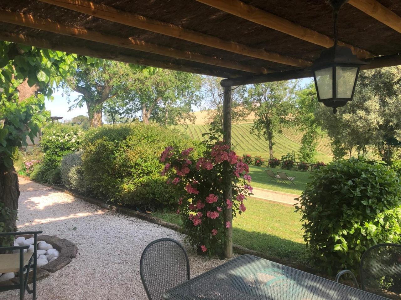 Vigna Sant' Amico Country House Morro dʼAlba Exteriör bild