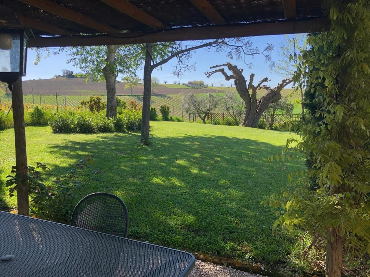 Vigna Sant' Amico Country House Morro dʼAlba Exteriör bild