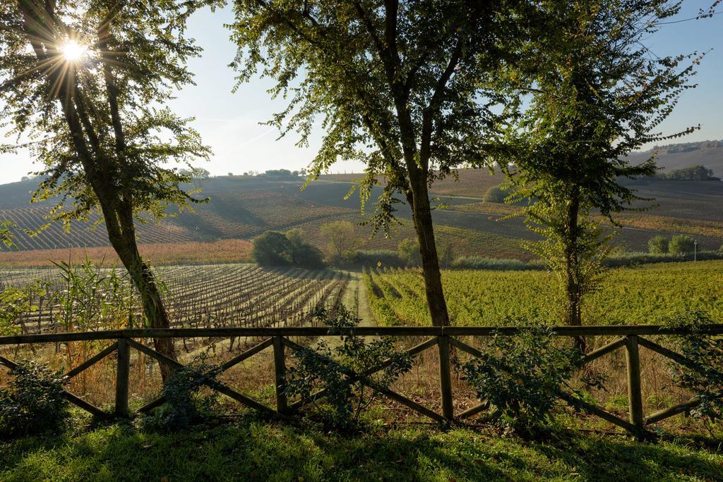 Vigna Sant' Amico Country House Morro dʼAlba Exteriör bild