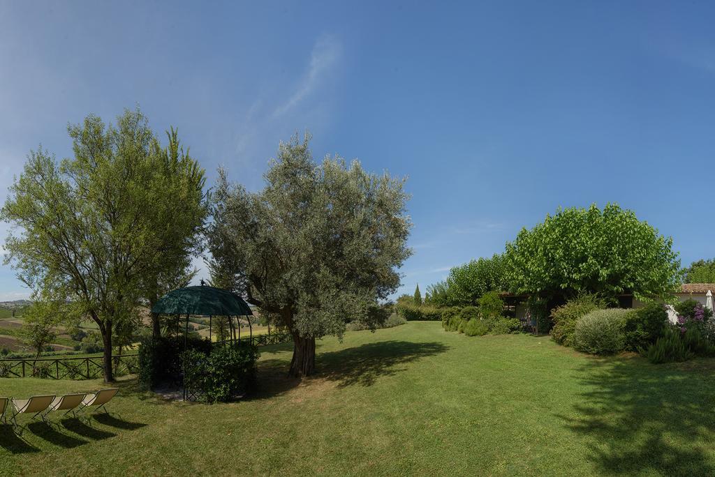 Vigna Sant' Amico Country House Morro dʼAlba Exteriör bild