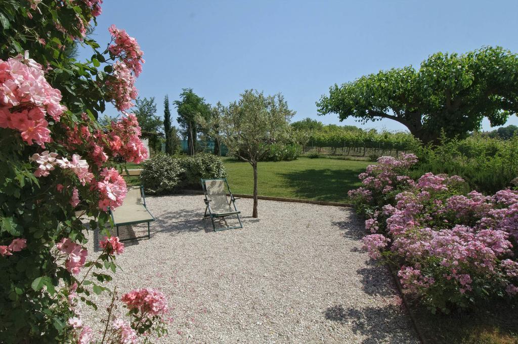 Vigna Sant' Amico Country House Morro dʼAlba Exteriör bild