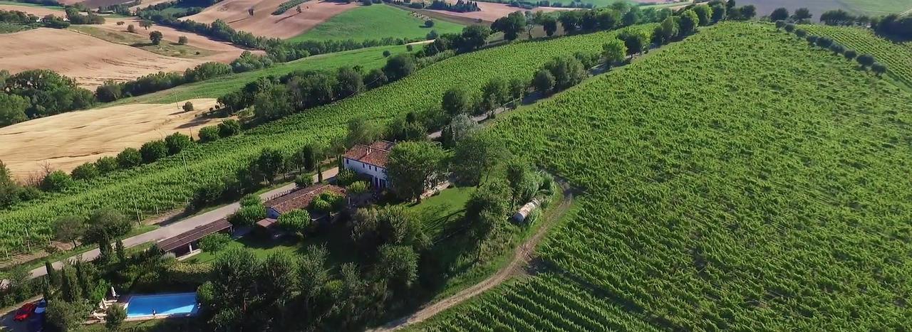 Vigna Sant' Amico Country House Morro dʼAlba Exteriör bild